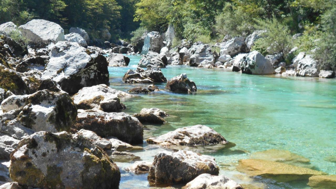 科巴里德Trnovo Ob Soci Kuhala公寓 外观 照片